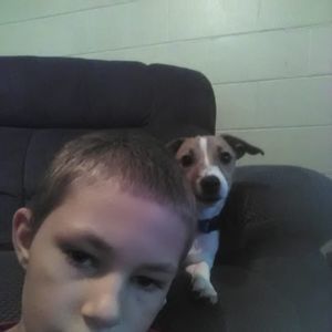 Meet your Posher, Curtis